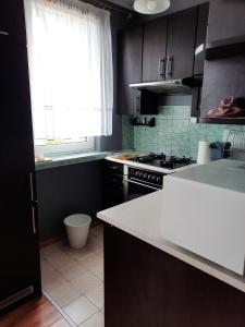 a kitchen with black cabinets and a white counter top at Jelitkowo Beach Apartment in Gdańsk