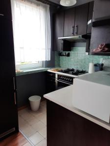 Kuchyňa alebo kuchynka v ubytovaní Jelitkowo Beach Apartment