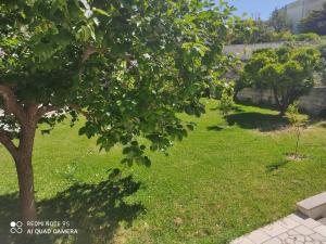 Vonkajšia záhrada v ubytovaní Villa Lucetta