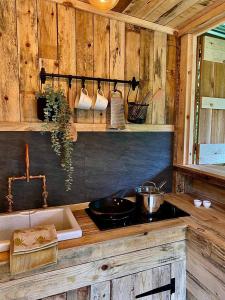 a kitchen with a stove and a sink in a cabin at Bee Bole Cabin in Monmouth