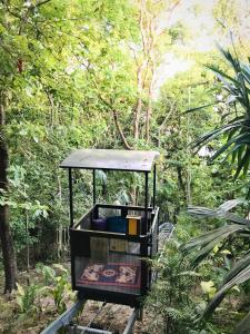 a machine in the middle of a forest at La Lancha in El Remate