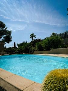 a large blue swimming pool in a yard at Villa Cocody in Bandol