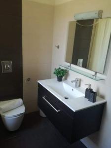 La salle de bains est pourvue d'un lavabo, de toilettes et d'un miroir. dans l'établissement VISTA DI MARE, à Lixouri