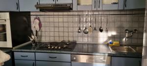 Kuchyň nebo kuchyňský kout v ubytování Apartment Ombla