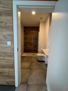 Kúpeľňa v ubytovaní Aparthotel Apartamenty Czarna Góra 320 + 22 fotografií