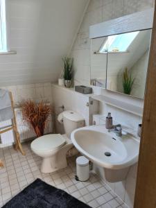 ein Badezimmer mit einem Waschbecken, einem WC und einem Spiegel in der Unterkunft Ferienwohnung mit toller Aussicht in Albstadt