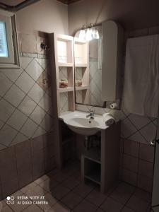 ein Bad mit einem Waschbecken, einer Dusche und einem Spiegel in der Unterkunft Paris Apartment in Doukádes