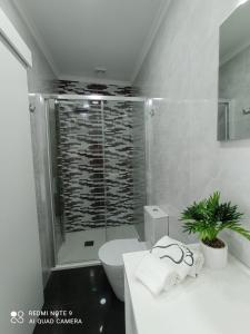 a white bathroom with a toilet and a shower at Casa Rua Velha in Horta