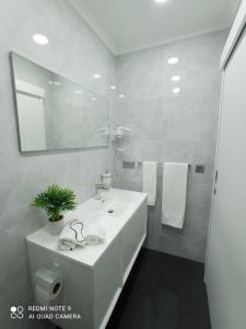 een badkamer met een witte wastafel en een spiegel bij Casa Rua Velha in Horta