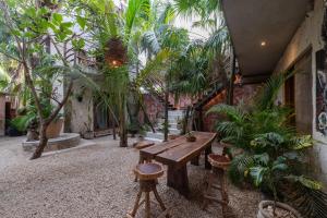 Zahrada ubytování Casa Coyote Tulum