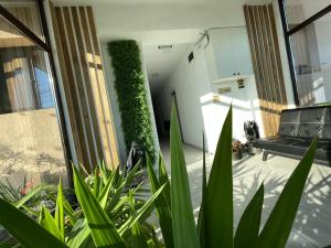 a room with plants in front of a building at Pensiunea Prestige House in Curtea de Argeş