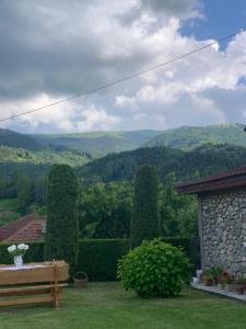 a garden with a bench and a view of the mountains at Casa din Vale in Lupeni
