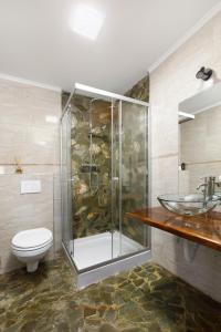 a bathroom with a shower and a toilet and a sink at Transylvanian House in Drumu Carului