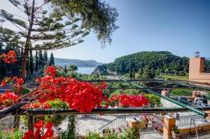 Photo de la galerie de l'établissement Thalassa Studios, à Paleokastritsa