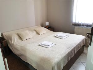 Postel nebo postele na pokoji v ubytování ATRIJUM apartmani Apatin