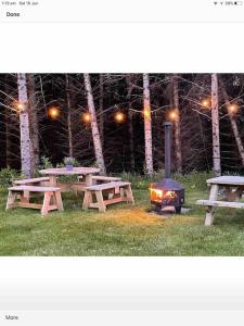 a group of picnic tables with a fire in the grass at Woodland lodge, apartment in Derry Londonderry