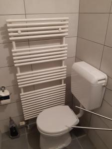 a bathroom with a white toilet and some towels at Appartement Ferienwohnung LANG in Apetlon