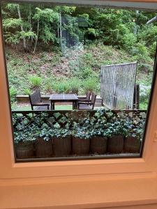 a window view of a patio with chairs and plants at International 6 in Bad Harzburg