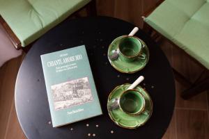 deux tasses vertes sur une table avec un livre dans l'établissement Casa nel cuore del Chianti, à Gaiole in Chianti