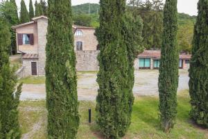 un groupe d'arbres devant un bâtiment dans l'établissement Casa nel cuore del Chianti, à Gaiole in Chianti