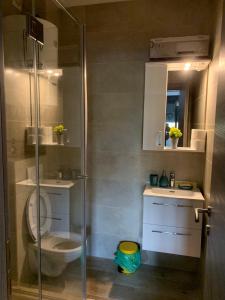 a bathroom with a shower and a toilet and a sink at Casa del Sole Lux in Kotor +144 photos