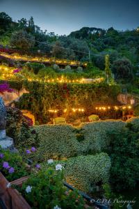 uma vista sobre um jardim à noite com luzes em Palazzo Suriano Heritage Hotel em Vietri
