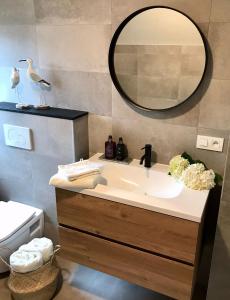 een badkamer met een wastafel en een spiegel bij De Bijenkorf in Damme