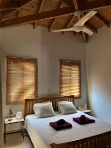 Tempat tidur dalam kamar di Gaia Residence, Peristerona, Polis Chrysochous