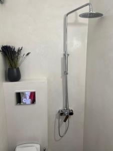 a shower in a bathroom with a toilet at Camara Homes in Andros