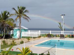 une piscine avec des palmiers et l'océan en arrière-plan dans l'établissement Blue Lizard House, à San Andrés