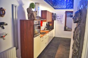 a kitchen with a statue on top of a refrigerator at -GALAXY SPA-JACUZZI-INSOLITE-4PERS-Jardin-SPA-CLIM in Holtzwihr
