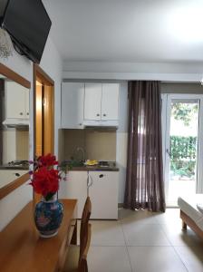 Kuchyň nebo kuchyňský kout v ubytování Hotel Ritsa