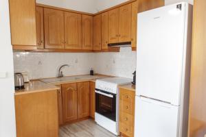 Kuchyň nebo kuchyňský kout v ubytování Almyros Aktis seaview apartment