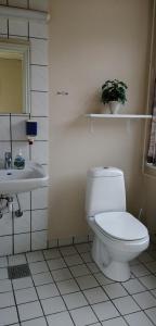 a bathroom with a toilet and a sink at Det Gamle Hotel Rudkøbing in Rudkøbing