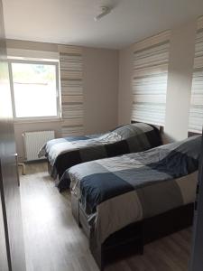 1 Schlafzimmer mit 2 Betten und einem Fenster in der Unterkunft appartement avec balcon in Hargarten-aux-Mines
