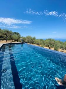 a swimming pool with a view of the ocean at “CapriOleum” esclusive place in Anacapri
