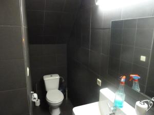 W łazience znajduje się toaleta, umywalka i lustro. w obiekcie Studio with More than a View w mieście Maldegem