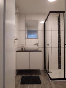 a bathroom with a sink and a glass shower at Your BaseCamp! in Roppen