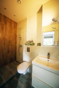 La salle de bains est pourvue de toilettes et d'un lavabo. dans l'établissement Comfortable design apartment on Vilanu, à Riga