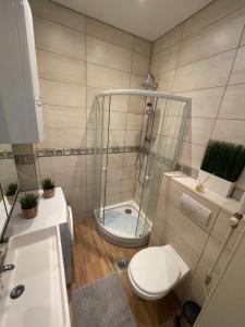 een badkamer met een douche, een toilet en een wastafel bij Vintage Home in The Heart of The City in Boedapest
