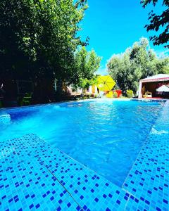 - une piscine avec du carrelage bleu au sol dans l'établissement Gite Karine, à Imouzzer du Kandar