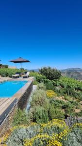 a garden with a swimming pool and an umbrella at Casa de Pena d'Águia - Douro Encantado in Provesende