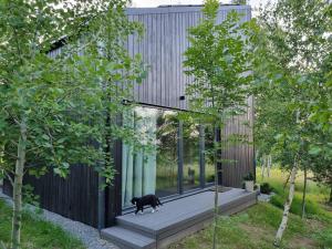 a house with a black cat walking on a deck at Drewniany dom w brzozowisku in Pieszyce