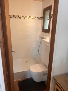 ein Badezimmer mit einem weißen WC und einer Dusche in der Unterkunft Le Mazet de choubouloute in Saint-Gilles