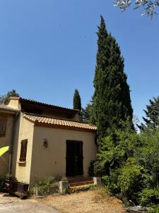 una casa con un gran árbol delante de ella en Le Mazet de choubouloute, en Saint-Gilles