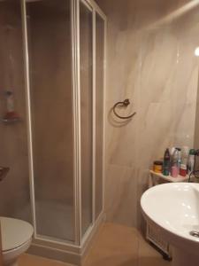 y baño con ducha, aseo y lavamanos. en Casa de pueblo en San Estevo Ribas de Sil, en Ourense