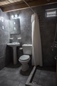 een badkamer met een toilet en een wastafel bij Departamento con parque in San Martín de los Andes
