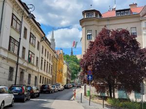 Okolí apartmánu