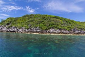 an island in the middle of the ocean at De Sea Almond in Chumphon