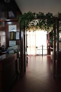 カザレッキオ・ディ・レーノにあるNuovo Hotel San Martinoのキッチン(カウンター、植物テーブル付)